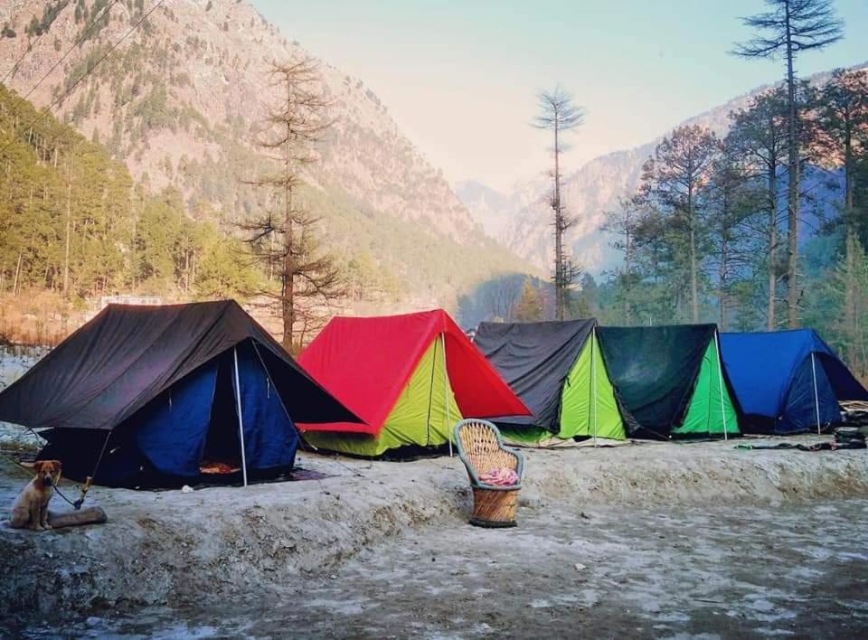 Stayhigh Camps & Cottages Kasol Dış mekan fotoğraf