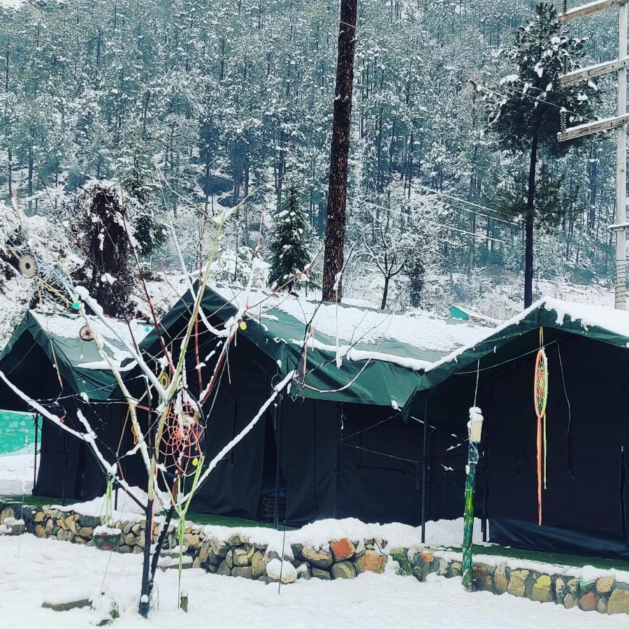 Stayhigh Camps & Cottages Kasol Dış mekan fotoğraf